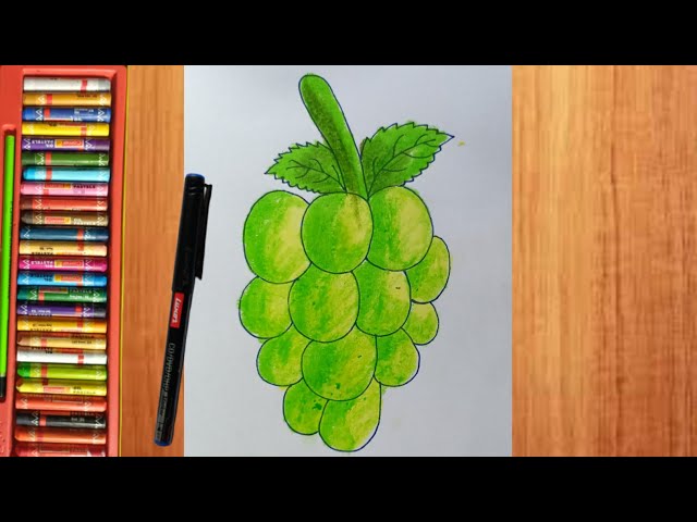 Discover 143+ green grapes drawing best