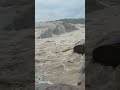 Giridih water fall 🏞️#shorts #waterfall #giridih #ashaom
