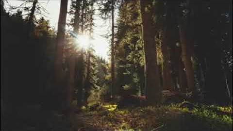 سورة النازعات في تلاوة خاشعة للشيخ فيصل ابراهيم الناصر