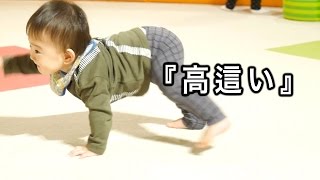 珍しい高這い はいはい 赤ちゃんはこんな感じ Youtube