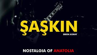 Şaşkin Erki̇n Koray Yapay Zeka Cover