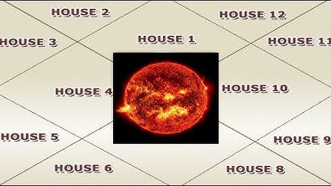 Karma of Sun in 12 Houses With Dr. Dharmesh and Kṣaṇāti (Part 2)