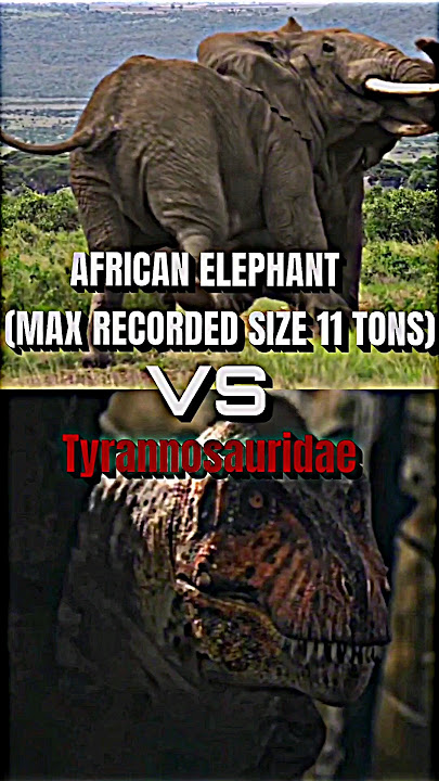 Elephant VS Tyrannosauridae #dinosaur #tyrannosaurusrex #elephant #prehistoric #trending #shorts