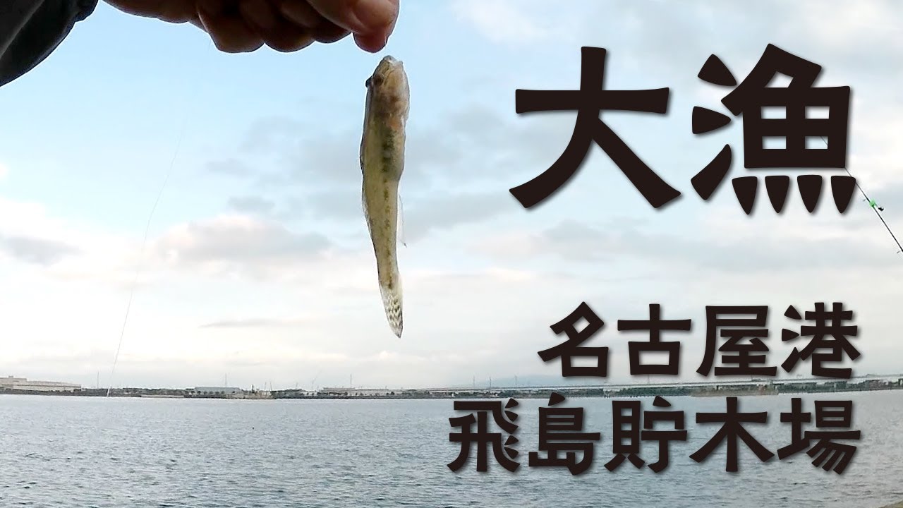 堤防釣り 大漁 名古屋港 飛島村貯木場 Embankment Fishing 魚釣り系you Tuberまとめサイト Fishing