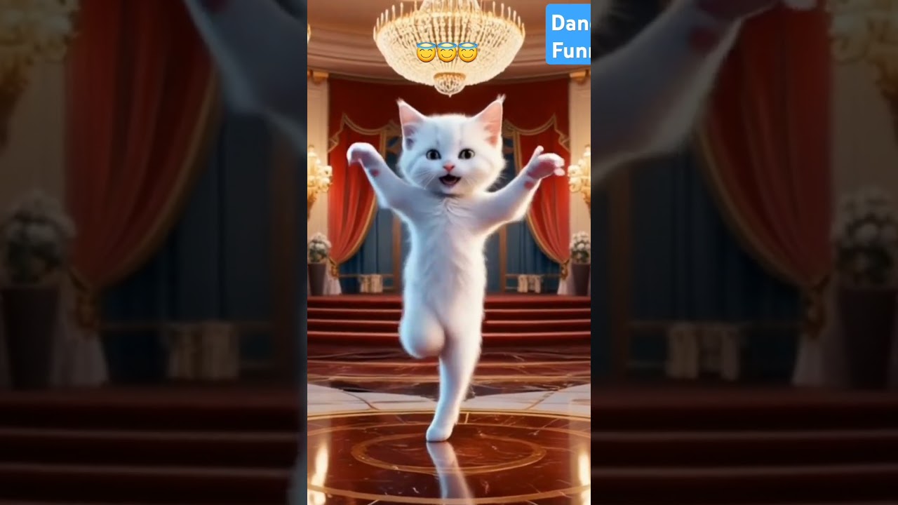 kuck kuck kuck kuck cat dancing | 😇😂 