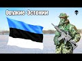 Стрелковое оружие армии Эстонии