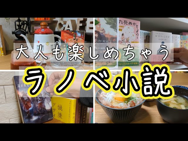 本好きvlog#42】ラノベも面白い/大人でも楽しめるライトノベル小説