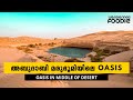 TRAVEL VLOG 75 - Al Khatim Pond Abu Dhabi || Hidden Gem || Oasis in Middle of Desert || Malayalam