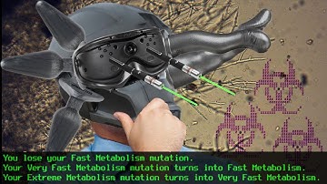 Cataclysm: Dark Days Ahead Review | Don