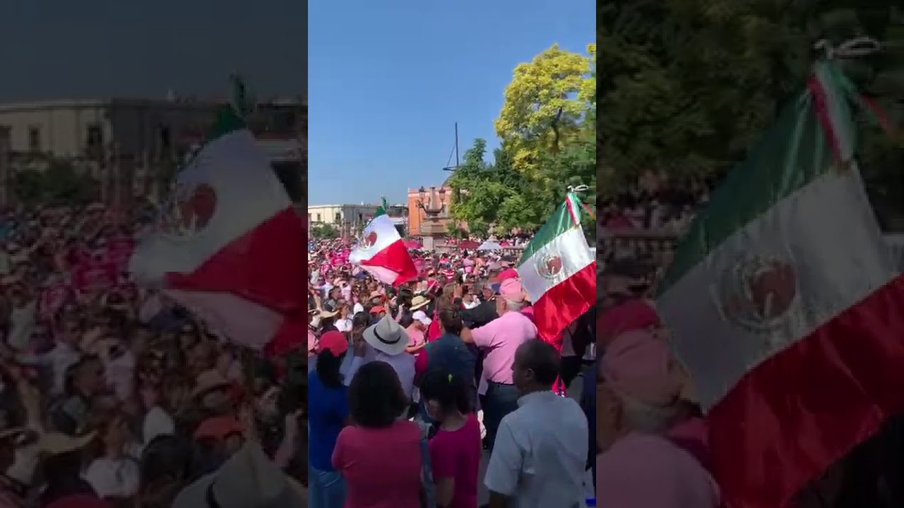 Asistentes a la marcha por el INE en Aguascalientes