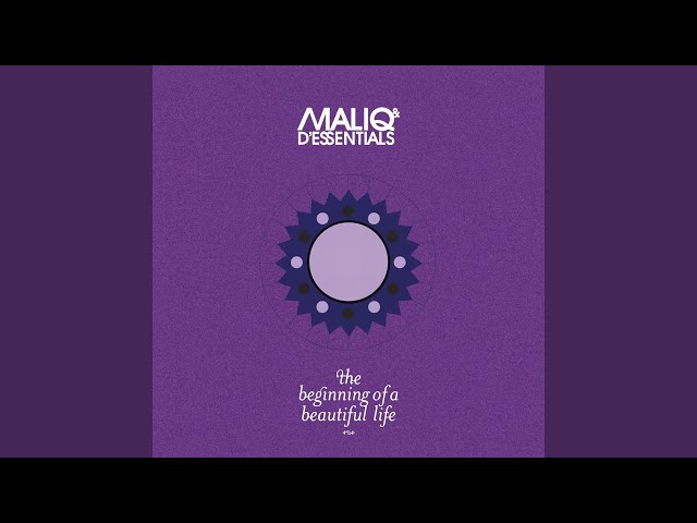 MALIQ & D'ESSENTIALS  -  MAYBE YOU