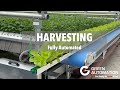 Harvest time  fully automated