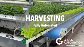 Harvest Time - Fully Automated