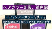 ヘアカラー 補色知識 毛髪知識 Kyogoku ヘアカラー理論 第二章 京極琉 Youtube ヘアカラー 補色知識 毛髪知識 Kyogoku ヘアカラー理論 第二章 京極琉 Youtube
