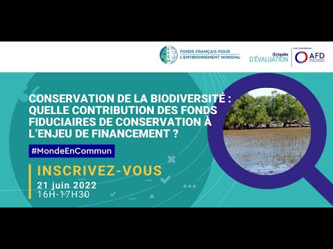 Biodiversité : quelle contribution des fonds fiduciaires de conservation à l'enjeu de financement ?
