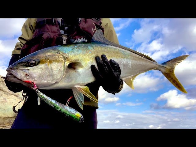 JUMPRIZE LALAPEN200F Reviews,Action,Swimming. - YouTube