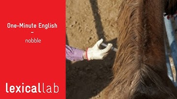 ONE-MINUTE ENGLISH: nobble LEARN WITH LEXICAL LAB