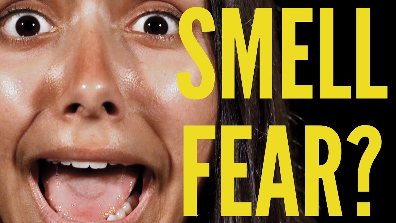 knowledge base 11 Epic Facts About Your Emotions