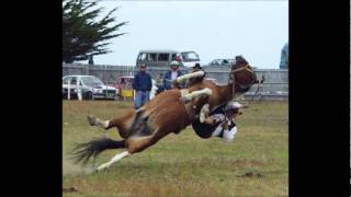 Video thumbnail of "Los mejores chamames camperos (1)"