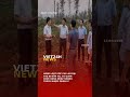 Phi lao chắn cát ở Cam Hồng bị đốn hạ hàng loạt #tintuc #news #congnghe