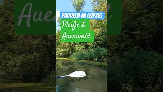 🌿 Paddeln im Leipziger Auenwald – Naturparadies mitten in der Stadt 🛶 #soschönistleipzig #leipzig
