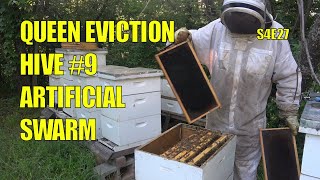 Artificial Swarm and Split on Hive #9  S4E27 #beekeeping #artificialswarm #hivesplit #queenbee