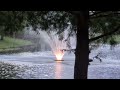 Pekin Duck Trio Floats in Lake at 8 PM &amp; Lighted Fountain at Sunset! Oviedo, Florida 