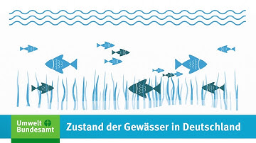 Zustand der Gewässer in Deutschland