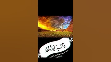 القرآن الكريم | سورة هود | للقارئ ماهر المعيقلي | تلآوة خاشعة جميلة جدآ😌❤ | حالات واتس اب