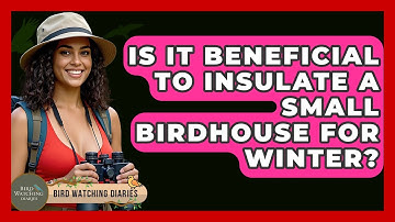 Is It Beneficial To Insulate A Small Birdhouse For Winter? - Bird Watching Diaries