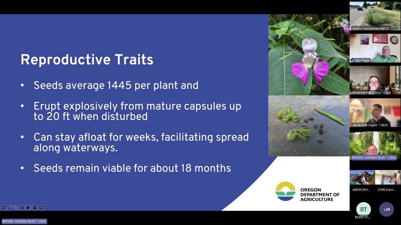 Заседание Совета штата Орегон по борьбе с сорняками: 11 февраля 2026 г., часть 2.