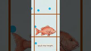 Solid Bucket or Smart Holes! The Filter Secret of NET 🕸️🐟🌊 (Basic English)