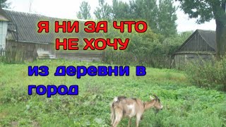 В Деревне Стало Жить Ещё ЛУЧШЕ!!!