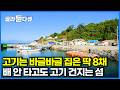 주민은 딱 13명인데 고기는 매일이 풍어 고기 잡느라 바쁜 섬마을 사람들 섬바다 먹방 한국기행 골라듄다큐