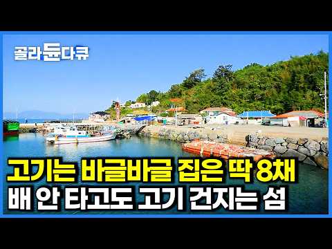 주민은 딱 13명인데 고기는 매일이 풍어! 고기 잡느라 바쁜 섬마을 사람들｜섬바다 먹방｜한국기행｜#골라듄다큐