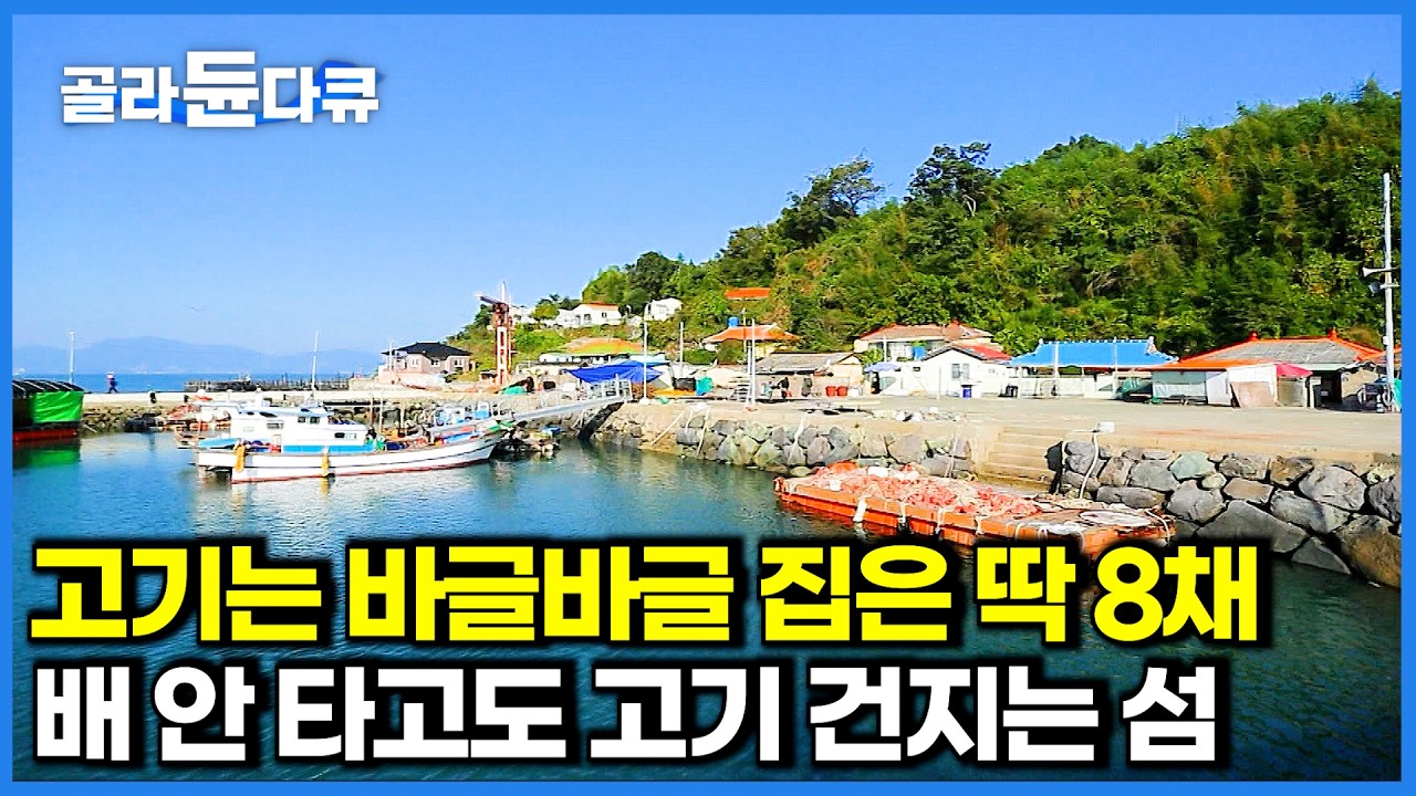 주민은 딱 13명인데 고기는 매일이 풍어! 고기 잡느라 바쁜 섬마을 사람들｜섬바다 먹방｜한국기행｜#골라듄다큐