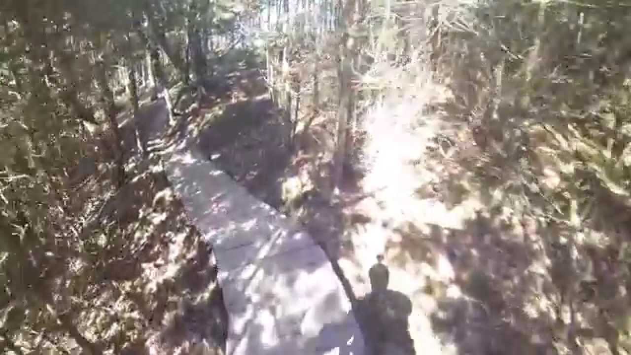 Chase
