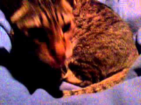 video 2016 01 03 23 57 11