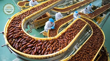 Hoe miljoenen dadels worden verwerkt – ongelooflijke technologie voor het oogsten en verwerken va...