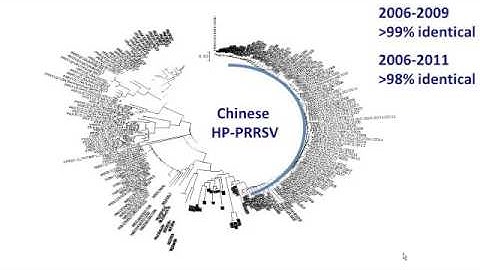 Dr. Mike Murtaugh - PRRS 