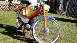 Motobecane Mobylette MBK 51 Auspuff Tuning Cobra NEU * Motobecane Mobylette MBK 51 Auspuff Tuning Cobra NEU *