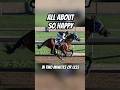 Feel free to add what I left out! #horse #horsefacts #horses #horseriding
