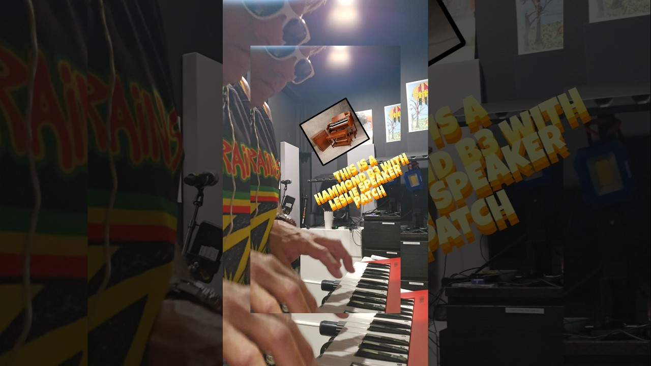 THE OLD SCHOOL REGGAE TUNES ALWAYS HAVE AHAMMOND B3 ORGAN WITH A ROTATING LESLIE SPEAKER.🎹 🔊