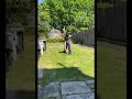 Raja Mustafa cricket bating Practice