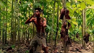 Junglee Creature | Junglee Creature full movie | Junglee Creature Official Trailer l