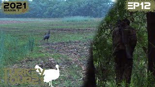 Turkeys in the Rain | Wild Bout Huntin