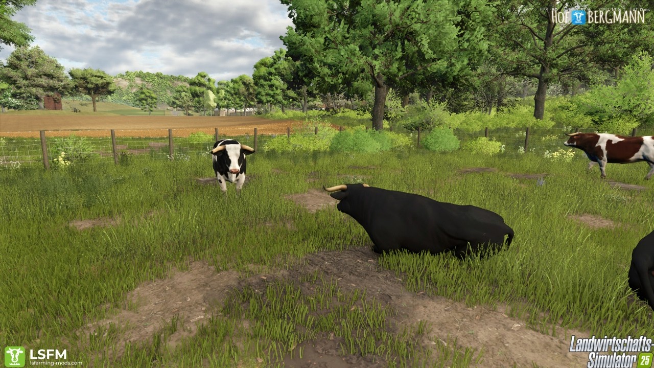 LS 25 Hof Bergmann Tutorial 38 - Bullenzucht