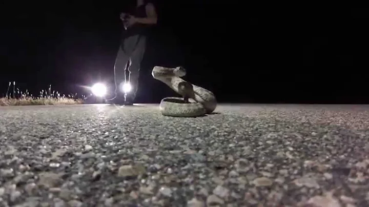 Rattlesnake GoPro pit