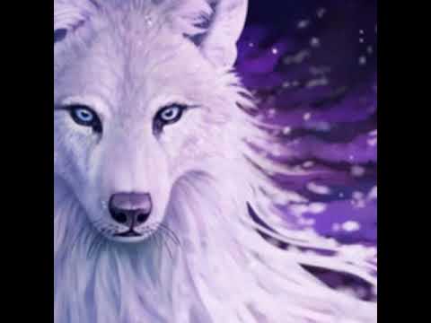 Клип 🐺Проти шерсти🐺