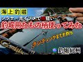 【海上釣堀】ランディングまでが釣り 鯛で使ってみた！釣堀用たもの柄